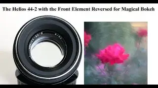 The Helios 44-2 with the Front Element Reversed for Magical Bokeh