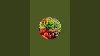 بدأت قناة 