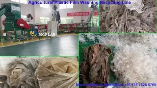 What's result from very dirty agricultural plastic film washing recycling line (Surprised)