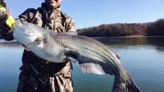 Ricky & Carson Gone Catchin'