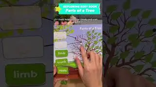 Toddler Busy Book-Learn about a Tree