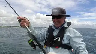 P3180028 Longtail off Moolooloba in my kayak 18/03/21