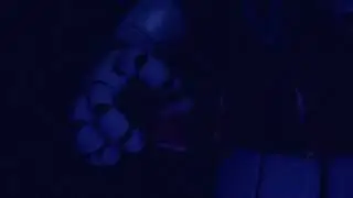 She can dance , she can sing | Baby FNAF Sister Location Intro Cinematic Cutscene animation