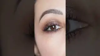 Урок по созданию легкого макияжа на каждый день с дымчатыми тенями с палеткой Sigma Beauty Spectr...