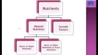 Microbial Nutrition - ICAR JRF guide