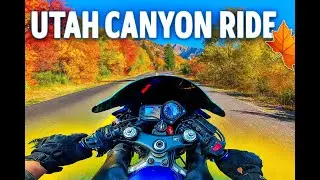 Utah Canyon Ride in Fall 🍁 | Motorcycle POV Through Autumn Colors