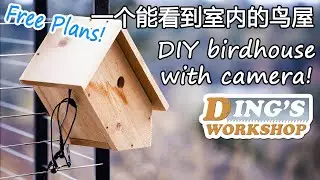 做一个能够看到室内的鸟屋 | DIY Birdhouse with Camera Inside!
