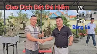 Anh THƯ Đồ Sơn mua được BÁT ĐÁ CỔ RẤT HIẾM ở Triển Lãm HIỆP HÒA - QUẢNG NINH .