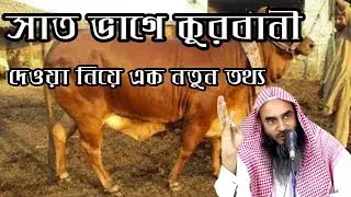 সাত ভাগে কুরবানী দেয়া কি জায়েজ।by motiur rahman madani