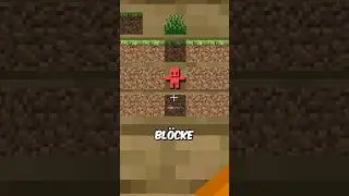 MINECRAFT auf einem SCHILD DURCHSPIELEN?!&hellip; #toobad #minecraft #fakten