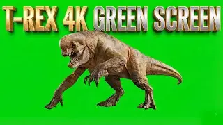 T-Rex Green Screen | Dinosaur Green Screen
