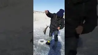 this is super. big pike on a tip-up