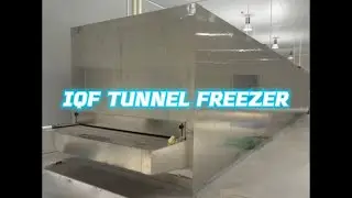 AXIAL BLAST IQF TUNNEL FREEZER