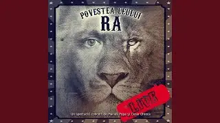 Toți pentru unul (feat. Dalma Kovacs) (Live)