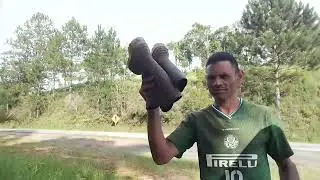 começando  2026 a arrancando  bambu preto 