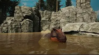 Path of titans pt rex hunts a bars then gets challenged for the body 