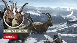 Gian und Giachen: 