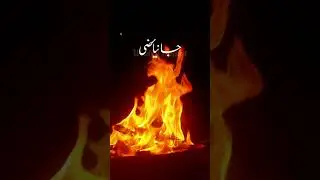 Warsi Rahim Sb Ra ❤️⚘️