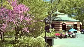 Wild Family Fun in New York - City Guide