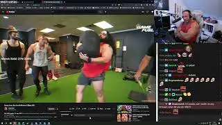 Knut reacts to CAMP KNUT memes
