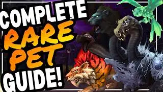 Rarest Obtainable Hunter Pets of All Time | World of Warcraft Hunter Pet Guide | The War Within