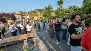Arruada de ramos de castanheiro em Aldeias de Armamar 