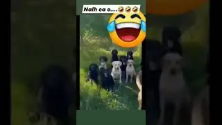 kuki tot na😁😆😆😅😂😃😃