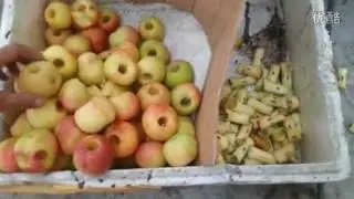 apple core remove machine