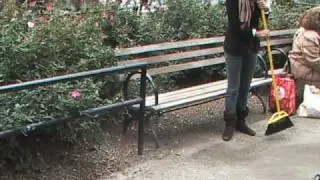 The Sidewalk Sweep