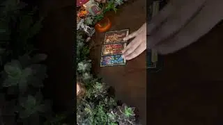 Tarot colectivo #tarot #tarotcoletivo #mensaje