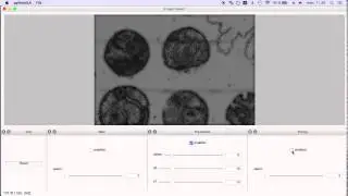 image viewer workflow