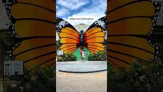 It&rsquo;s Butterfly Season now 😍 visit now #bangalore