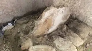 Melkizedek&rsquo;s Stone close up