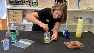 Strawberry DNA Extraction