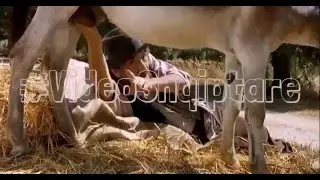 #VideoShqiptare - Sa eshte ora / Che ore sono