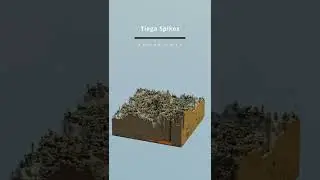 Taiga spikes render - ExtraBiomes a world generation addon for Minecraft bedrock edition