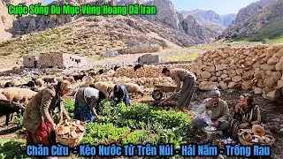 Cuộc Sống Du Mục Iran - Nade Kéo Nước , Hái Nấm , Trồng Rau  Sinh Tồn Trên Núi Cao Zagos