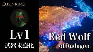 【ELDEN RING】Lv1 武器未強化 ソロ ノーダメージ 『ラダゴンの赤狼』 / WL0 Solo No Damage Red Wolf of Radagon【エルデンリング】