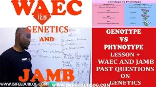 Terms in genetics phenotype vs genotype | 2022 Waec question | Differentiate btw phenotype genotype
