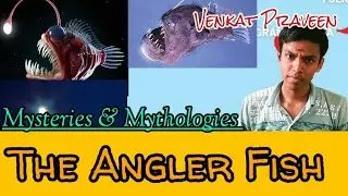 Mysteries & Mythologies - The ANGLER FISH |Tamil| Venkat Praveen #vpclan