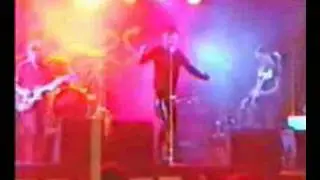 Daisy Cutters - Perdiendo el control