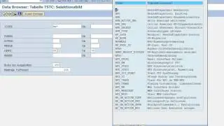 SAP Transaktionscode