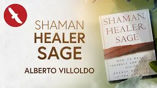 Shaman, Healer, Sage