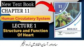 Class 11 Biology Chapter 11 | Structure & Function of Human Heart | New Book 2025