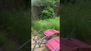 Overgrown garden tidying gardener Aigburth Liverpool