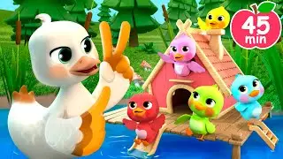 🦆🐥🐥🐥🐥🐥 Five Little Ducklings Song | Newborn Baby Songs & Nursery Rhymes