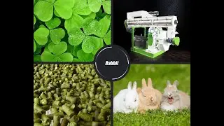 RICHI rabbit feed pellet making machine for sale