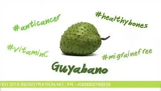 Jinga Juice Guyabano Wheatgrass and Stevia Official Sound Track ( FDA Approved 2018 )