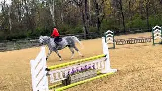 Weatherman - 3&rsquo; schooling (first time jumping this course)