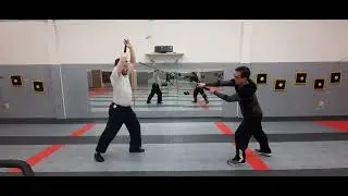 Paulus Hector Mair Longsword 2, The Krumphau From Both Sides